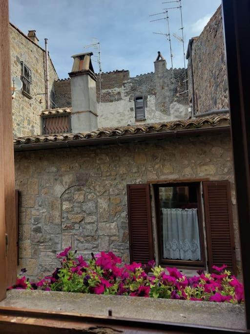Casa Rosita Vista Lago Bolsena Eksteriør billede